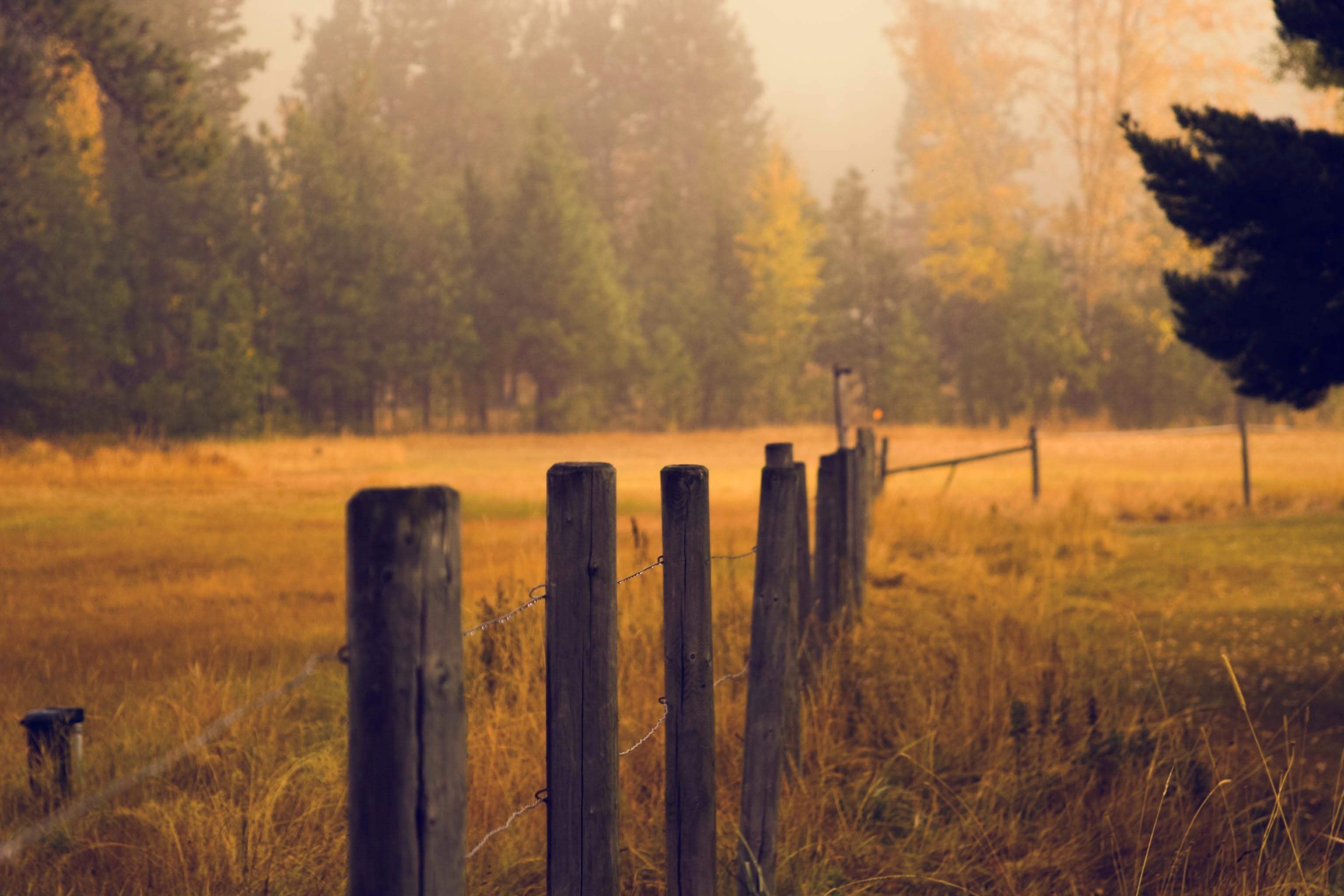 Farm Fencing